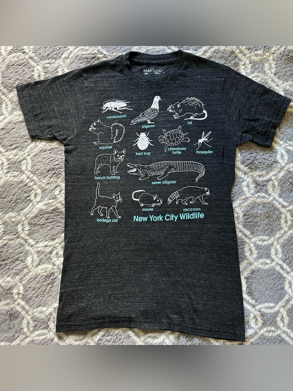 New York City Wildlife Charcoal Gray Graphic Tee - Pets Reptile Theme Women’s S
